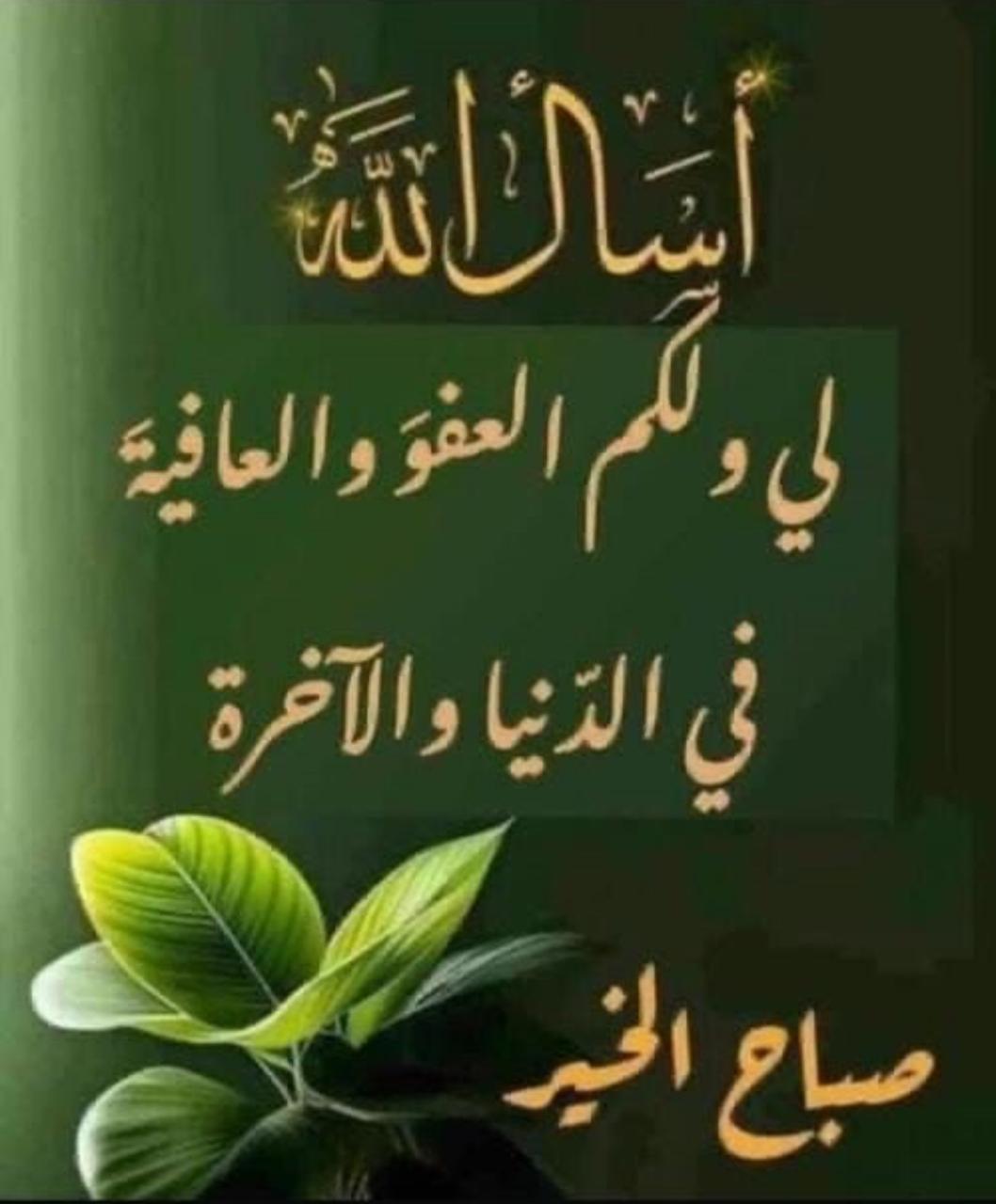 ������_NvnHg