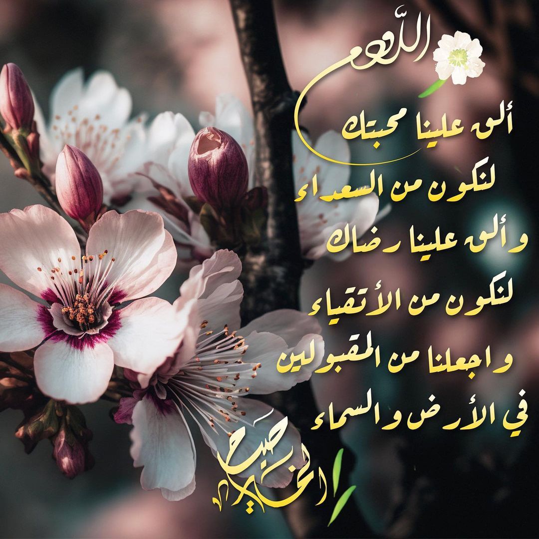 Reem Alk_ZA5CT